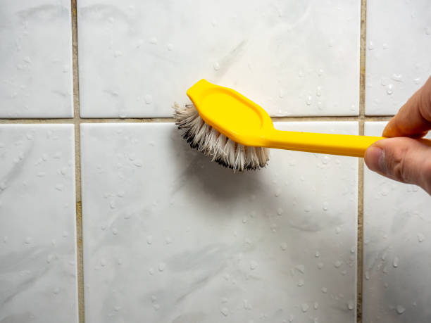 Best Black Mold Remediation in Broadview Heights, OH